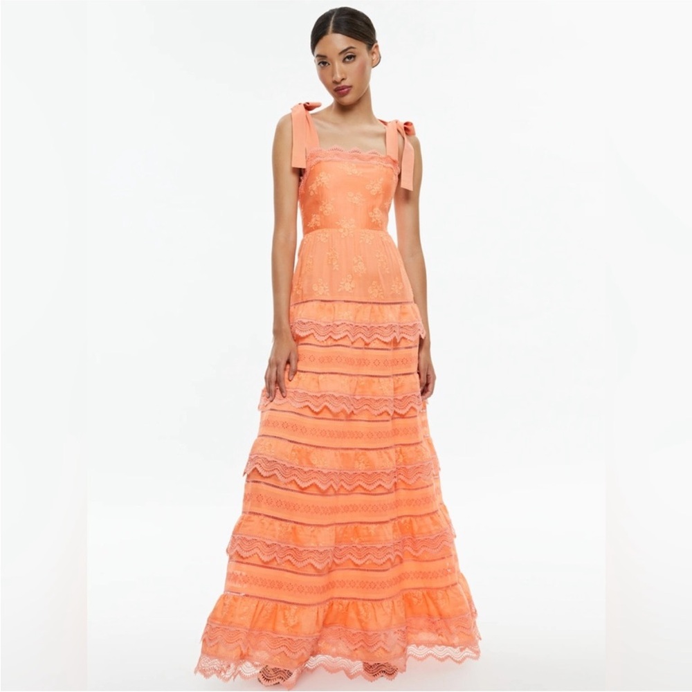 ALICE + OLIVIA Vega tiered embroidered voile Maxi Dtess SIZE 6 Worn 1x/perfect